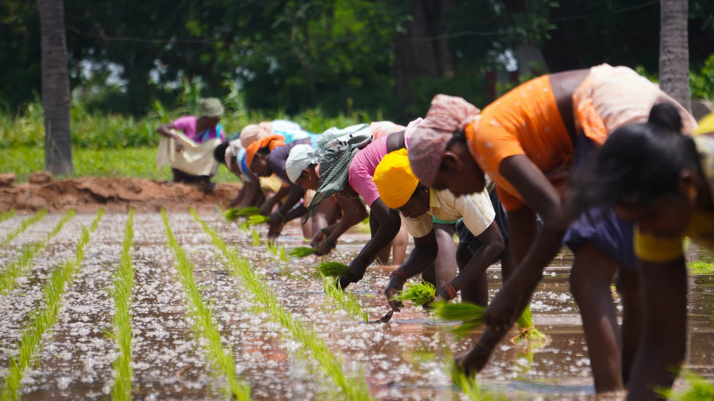 Why the Lightning Network is the best tool for financial inclusion for co-operatives around the world