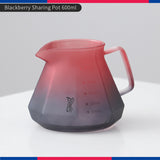 Bincoo Hand Brewing Coffee Pot Set Blackberry Filter Cup Sharing Pot Glass Pot Set 600ML