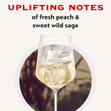 MARTINI Asti Spumante Sparkling Wine, Sweet and Smooth Italian Wine, 7.5% ABV, 75cl / 750ml
