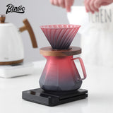 Bincoo Hand Brewing Coffee Pot Set Blackberry Filter Cup Sharing Pot Glass Pot Set 600ML