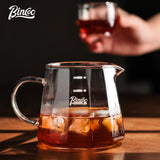 BINCOO Glass Coffee Sharing Pot Set Filter Cup Drip Filter Paper Funnel Hand Brewing Pot Coffee Kettle 500ML/700ML