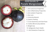 100% Natural Pure Mangosteen Powder - Organic Non-GMO