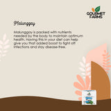 Gourmet Farms Philippines Organic Herbal Tea - Malunggay 12's