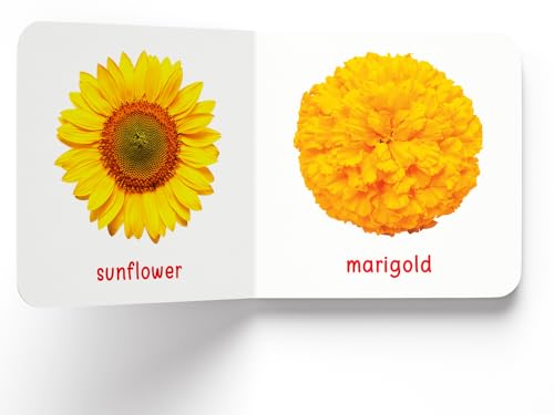 My First Book of Flowers