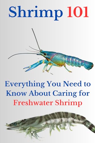 Shrimp 101: Everything You Need to Know About Caring for Freshwater Shrimp