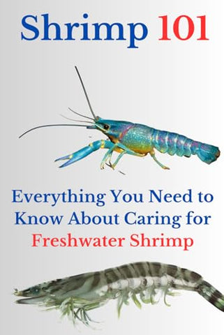 Shrimp 101: Everything You Need to Know About Caring for Freshwater Shrimp