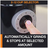 Krups 8oz Coffee Grinder