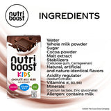 Nutriboost Chocolate 110mL - Pack of 12