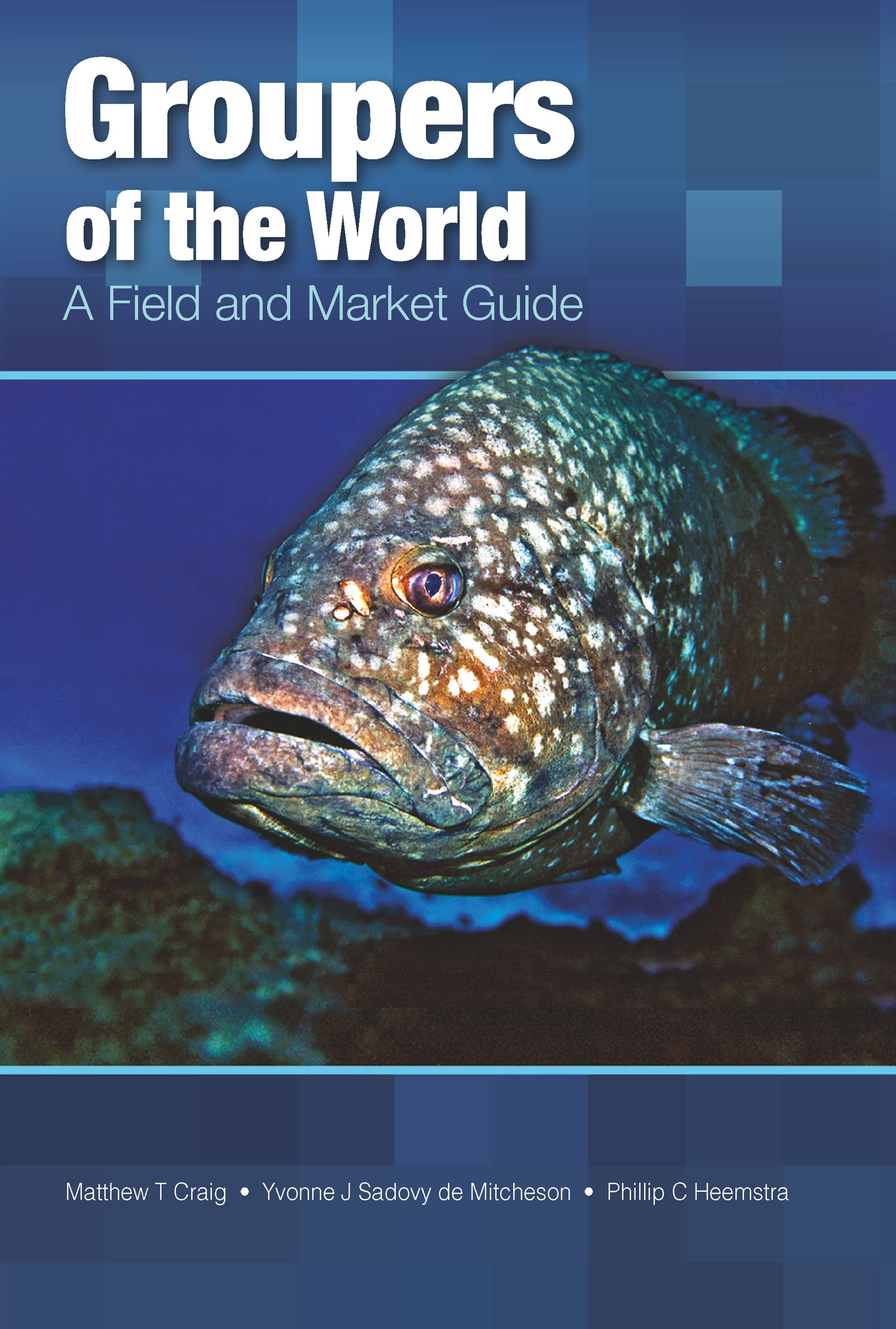 Groupers of the World: A Field and Market Guide