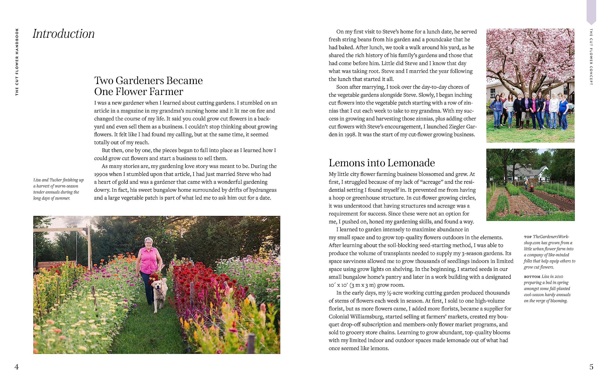 The Cut Flower Handbook: Select, Plant, Grow, and Harvest Gorgeous Blooms