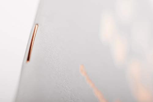 Field Notes: Group Eleven 3-Pack