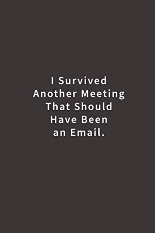 I Survived Another Meeting That Should Have Been An Email.: Lined notebook