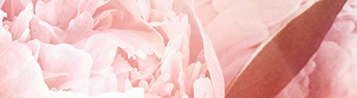 Burberry Brit Sheer Eau de Toilette