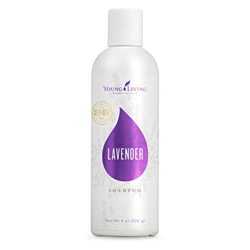 Lavender Volume Shampoo by Young Living - 8 fl. oz.