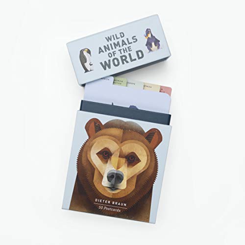 Wild Animals of the World: 50 Postcards