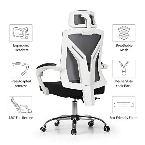 Hbada Ergonomic Office Chair - Reclining with Lumbar Support