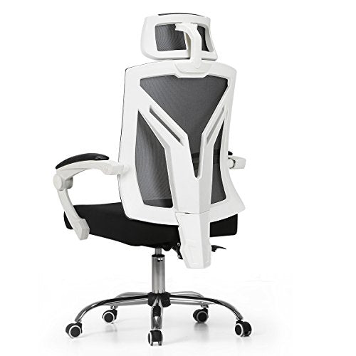 Hbada Ergonomic Office Chair - Reclining with Lumbar Support