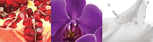 Calvin Klein Euphoria Eau de Parfum