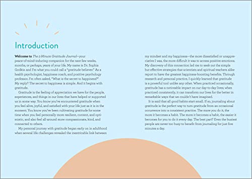 The 5-Minute Gratitude Journal: Give Thanks, Practice Positivity, Find Joy