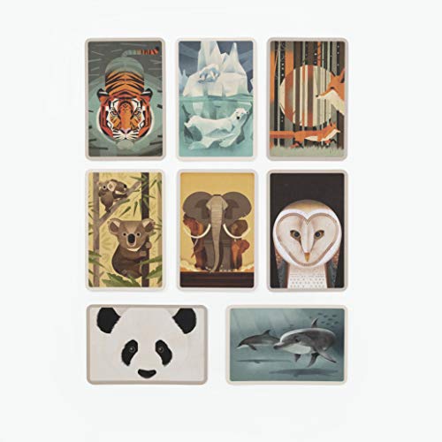 Wild Animals of the World: 50 Postcards