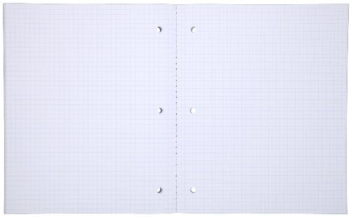 Mead Notebook, Wireless, 1 Subject, Quad Ruled