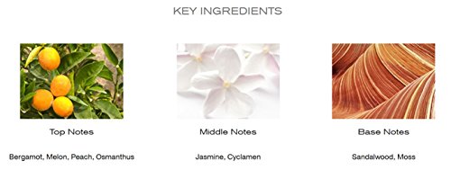 Sunflowers By Elizabeth Arden Eau De Toilette