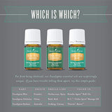 Eucalyptus Globulus Essential Oil by Young Living