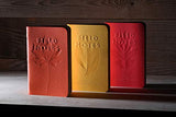 Field Notes: Autumn Trilogy 3-Pack