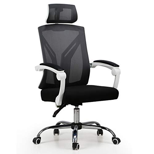 Hbada Ergonomic Office Chair - Reclining with Lumbar Support