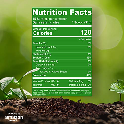 NutraKey Vpro Organic Vegan Raw Plant Protein