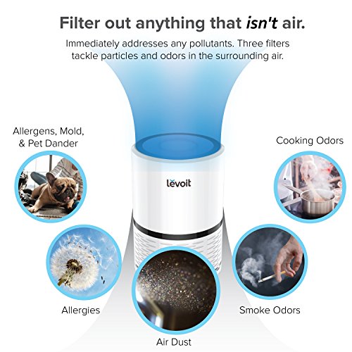 Levoit LV-H132 Air Purifier with True HEPA Filter, Odor Allergies Eliminator