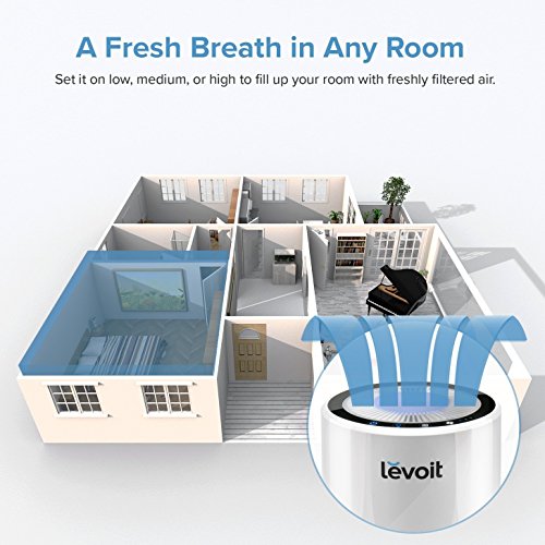 Levoit LV-H132 Air Purifier with True HEPA Filter, Odor Allergies Eliminator