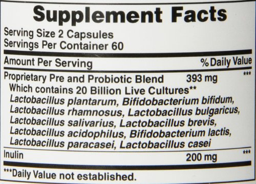Puritans Pride Rapid Release Probiotic, 120 Count