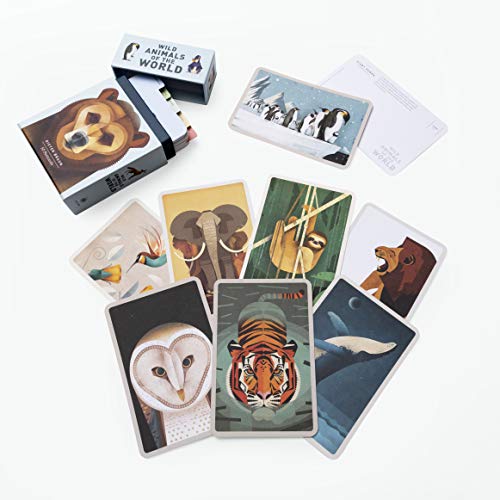 Wild Animals of the World: 50 Postcards