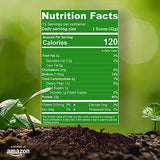NutraKey V-Pro Raw Plant Based Protein Powder with 23g of Protein