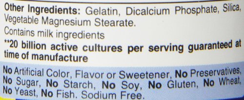 Puritans Pride Rapid Release Probiotic, 120 Count