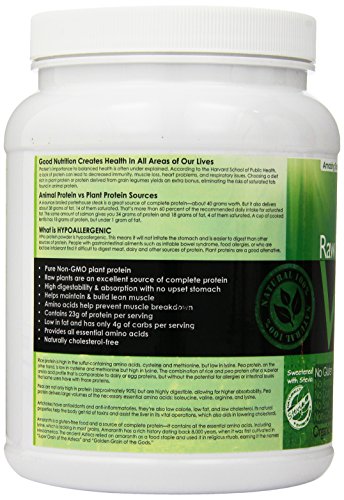 NutraKey V-Pro Raw Plant Based Protein Powder with 23g of Protein