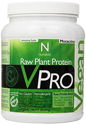NutraKey V-Pro Raw Plant Based Protein Powder with 23g of Protein