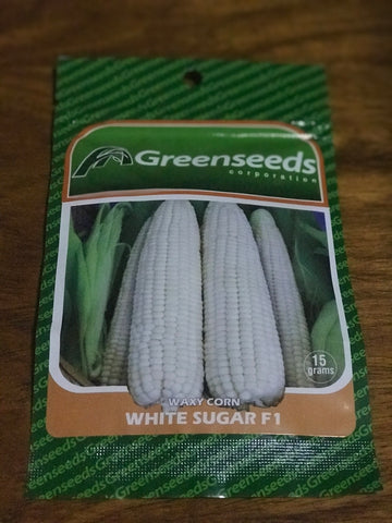 Greenseeds Waxy Corn